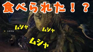 【MHW】ゲーム下手のモンハン日記2日目【関西弁女性実況】