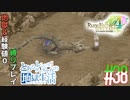 とあるカブ奴隷のレベル1地獄縛り生活（ルーンファクトリー4SP）part38【実況】