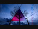 心象カスケード  歌ってみた  ［RIN］