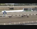 2020年1月19日高知競馬3R 斎木家メイド一同協賛 佐々原藍子誕生日特別(C3-3組) ステファンバローズ