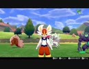 【実況】ポケモンを愛でる実況part66【ポケットモンスター シールド】