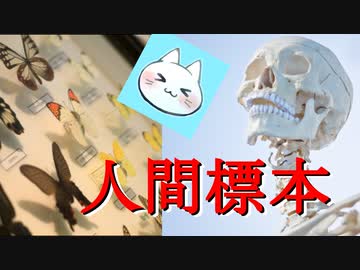 【人間標本】人を狂わせる恐ろしい趣味【実況】後編