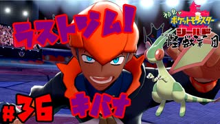 人気の ポケモン剣盾 動画 10 463本 2 ニコニコ動画