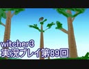探し人を求めてwitcher3実況プレイ第89回