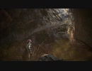 ｢モンスターハンターワールド：アイスボーン｣～ビビり紳士(時々イキリ)ハンターのほのぼの調査物語～Part12