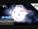 かっちゃそのHollowKnight#3