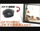 ゴキブリの群れの中に「ゴキブリ駆除剤」を入れたら凄まじい結果になった。
