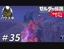 【実況】ウルリンといっしょ＃35｢一撃の剣？知らない子ですね…｣【BotW】