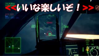 Ace Combat 7 Multiplayer598 チームデスマッチ Su-34 + HCAA