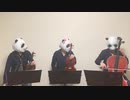 MEALOVANIA/メガロヴァニア/Toby Fox（バイオリン、チェロ、ビオラ）弾いてみた