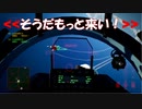 Ace Combat 7 Multiplayer599 バトルロイヤル Su-30SM + 6AAM
