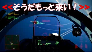 Ace Combat 7 Multiplayer599 バトルロイヤル Su-30SM + 6AAM