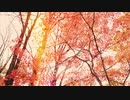 あぜ道-夏木律feat.初音ミク