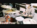 【水瀬いのり】Innocent Flower【叩いてみた】