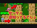 俺とマッチングする人たち、道知ってない？[マリオメーカー2]