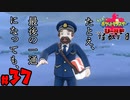【初見が目指すは怪獣軍団】ポケットモンスターソード・シールドpart37【24歳フリーター】