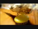乗りたいけど乗れないオカメインコ