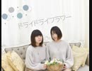 【Ivy Rose.】ドライドライフラワー【踊ってみた】
