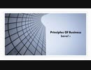 Principles of business level 3