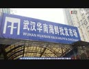 中国当局、ヒトヒト感染認める
