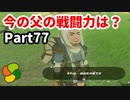 【実況】今年で定年を迎える父をハイラルの大地に放り込むPart77【ゼルダの伝説BotW】