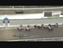 2020年1月21日高知競馬5R 東京スポーツ新聞社協賛 第３４回全日本新人王争覇戦第２戦(C3-2組) リーガルオフィス