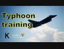 Ace Combat 7 Multiplayer600 バトルロイヤル Typhoon + HCAA
