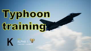 Ace Combat 7 Multiplayer600 バトルロイヤル Typhoon + HCAA