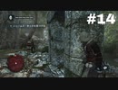 【実況】キリュウのアサシンクリード４ ブラックフラッグ part14 Assassin'sCreedⅣ BLACK FLAG
