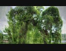 le bocage parc et environnement