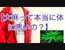 大麻って本当に体にいいの？