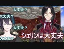 あらゆることが杞憂される中大丈夫と言われるシェリン・バーガンディ