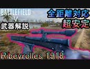 【BF5武器解説】初心者オススメ低反動銃「Ribeyrolles 1918」で全距離を制圧せよ！【PS4 Pro/BFV】