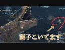 【MHWIB】俺のアイルーは世界で1番調子に乗ってるのでネットに晒す【モンスターハンターワールドアイスボーン】