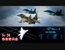 Ace Combat 7 Multiplayer602 チームデスマッチ Su-34 + HCAA