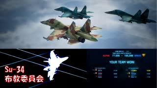 Ace Combat 7 Multiplayer602 チームデスマッチ Su-34 + HCAA