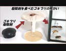「ゴキブリ駆除剤」を食べたゴキブリの死がいをゴキブリの群れの中に入れたらもっと凄まじい結果になった。