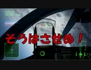 Ace Combat 7 Multiplayer605 チームデスマッチ Su-34 + HCAA