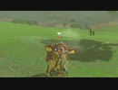 依頼を受けて、回避ジャストで死亡した馬を高速で飛ばしてみた