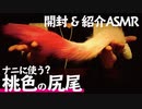 コスプレ？男性ASMRtist宅に桃色尻尾がヤってきた