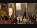 【実況】へっぽこ忍者がいく！ゾンビがはびこる都市を生き残れ！【ダイイングライト-Dying Light-】＃14