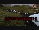 【Paunch】おっさんたちのゲーム実況 ：国技？で遊んでみる