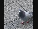 無条件の波動123