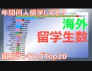 【留学生】20年間の海外留学生数の推移（1999～2018）　～ランキング～