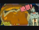 【趣味】拙いですがパンツでマスターになる【ゼルダの伝説ブレスオブザワイルド】pants110