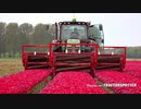 【疑似m@s】百花は重機で刈りぬるを