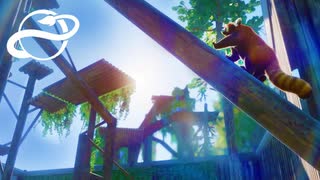 #4 レッサーパンダのジャングルジム 飼育エリア建築【Planet Zoo・実況】