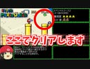 【ゆっくり実況】ステージを強制的にクリアさせるORBが取れる所を全部紹介します【マリオワールド】