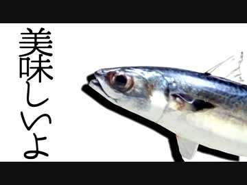 【Fate/MMD】ぐだ子と鯖たちで『気まぐれメルシィ』【MMD-PVF6】