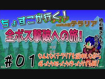 【テラリア】全ボス撃破を目標に！テラリア始めるよ！【ｐａｒｔ１】
